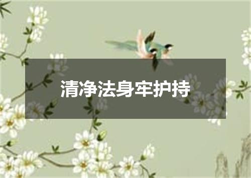 清净法身牢护持