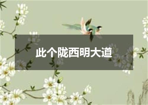 此个陇西明大道