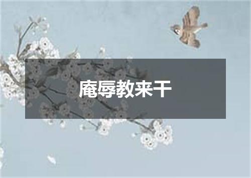 庵辱教来干