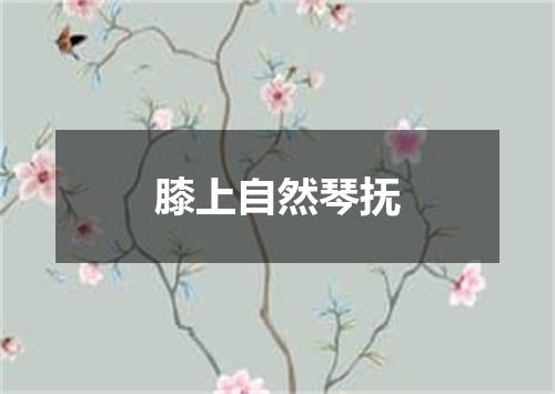 膝上自然琴抚