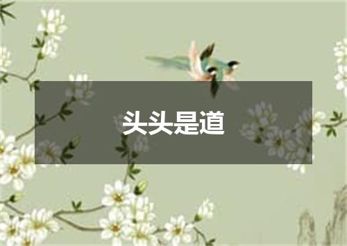 头头是道