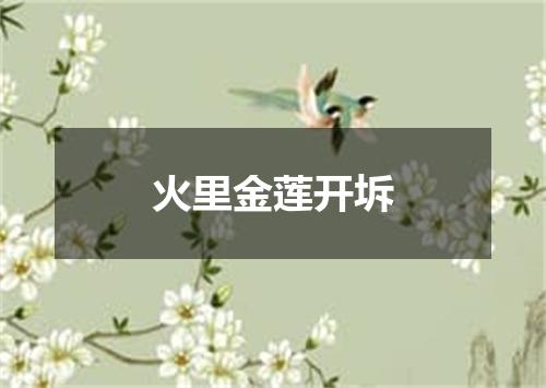 火里金莲开坼