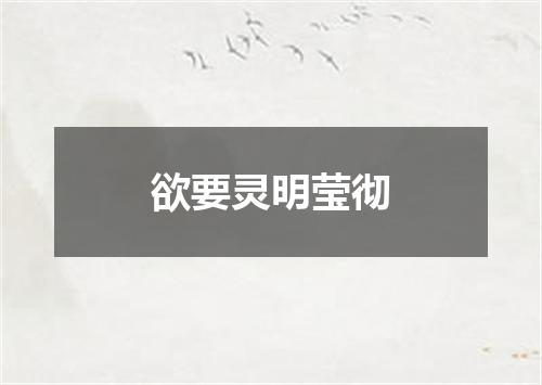 欲要灵明莹彻