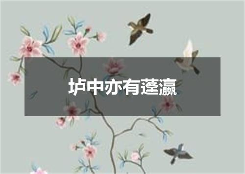 垆中亦有蓬瀛
