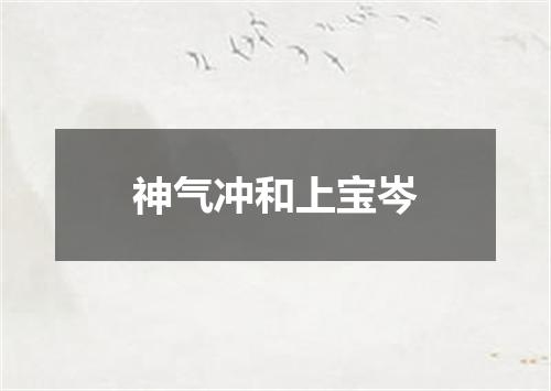 神气冲和上宝岑