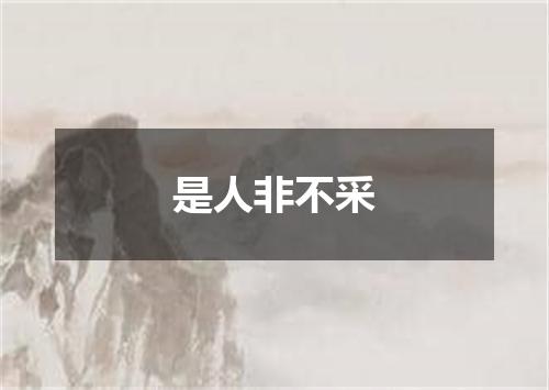 是人非不采