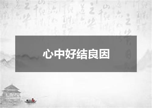 心中好结良因