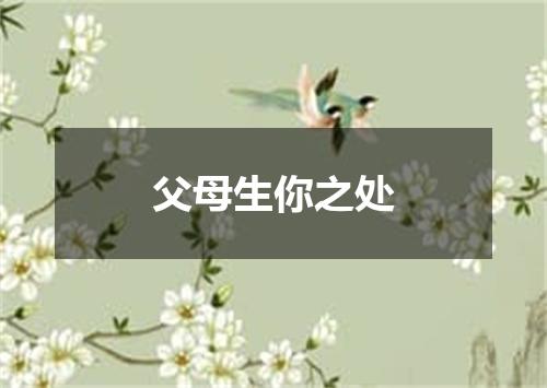 父母生你之处