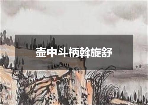 壶中斗柄斡旋舒