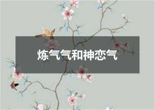 炼气气和神恋气