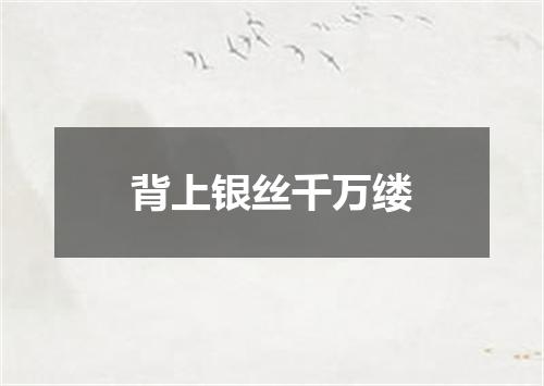 背上银丝千万缕