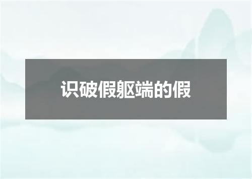 识破假躯端的假