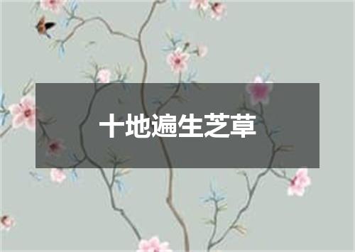十地遍生芝草