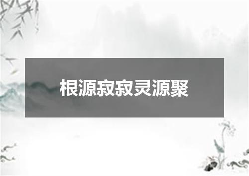 根源寂寂灵源聚