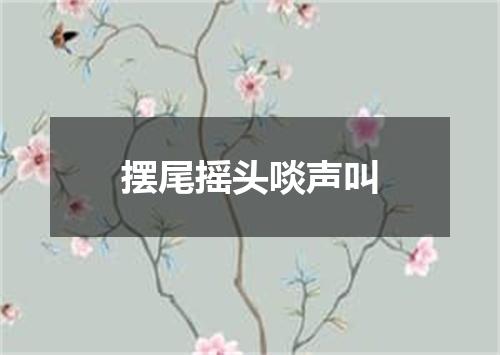 摆尾摇头啖声叫