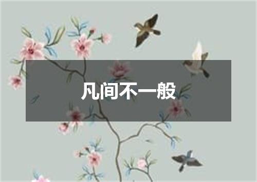 凡间不一般