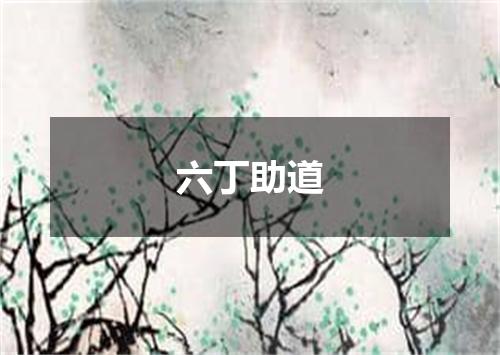 六丁助道