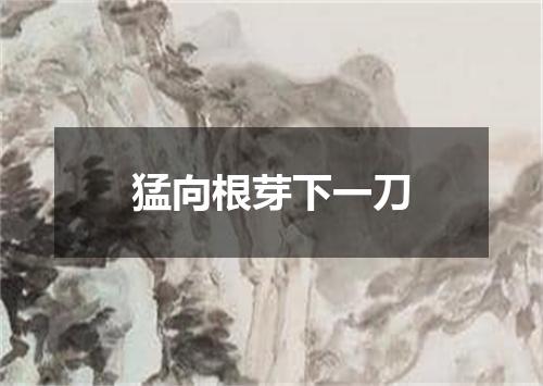 猛向根芽下一刀