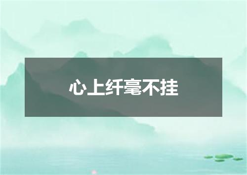 心上纤毫不挂