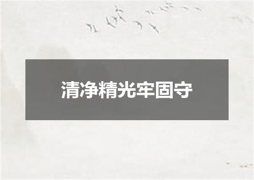 清净精光牢固守