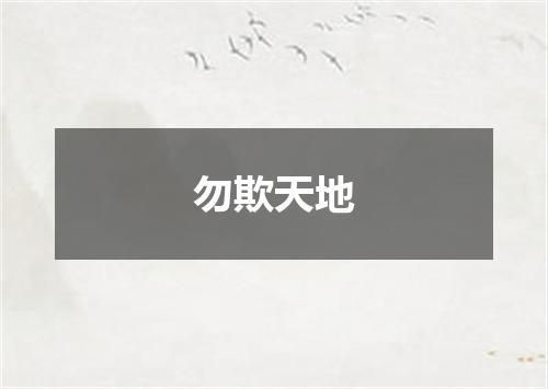 勿欺天地