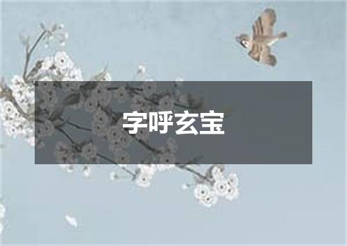 字呼玄宝