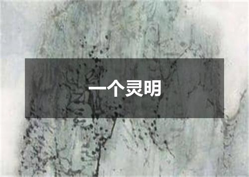 一个灵明