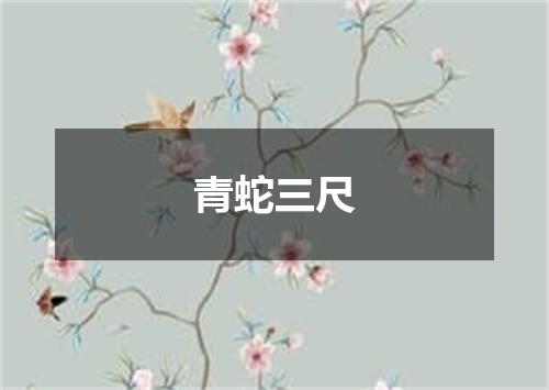 青蛇三尺