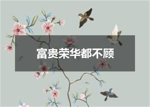 富贵荣华都不顾