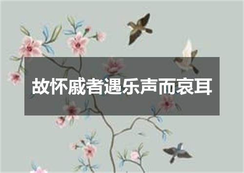 故怀戚者遇乐声而哀耳