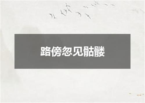 路傍忽见骷髅
