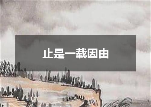 止是一载因由