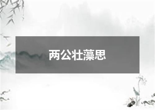 两公壮藻思