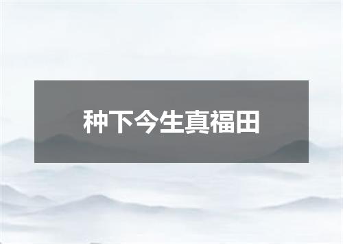 种下今生真福田