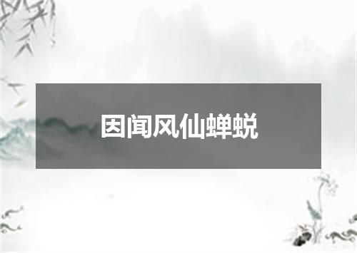 因闻风仙蝉蜕