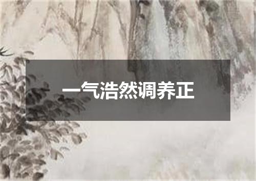 一气浩然调养正