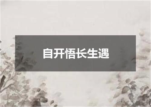 自开悟长生遇