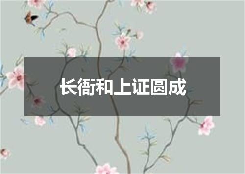 长衙和上证圆成