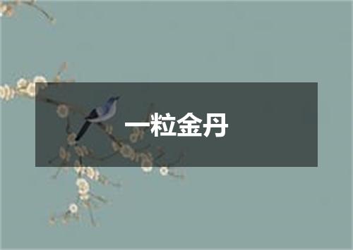一粒金丹