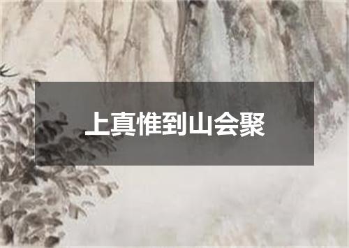 上真惟到山会聚