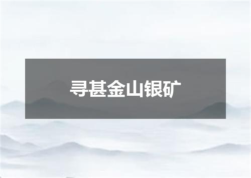 寻甚金山银矿