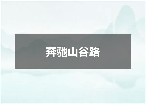 奔驰山谷路