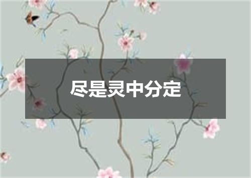 尽是灵中分定