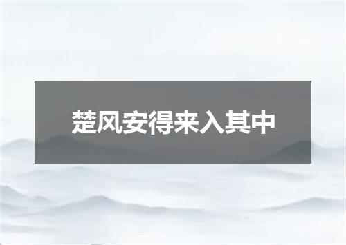 楚风安得来入其中