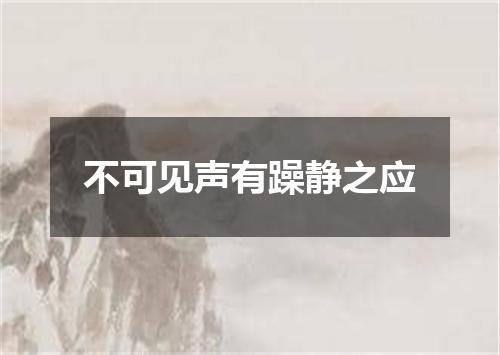 不可见声有躁静之应