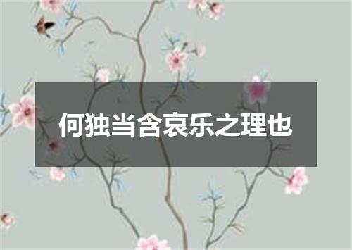 何独当含哀乐之理也