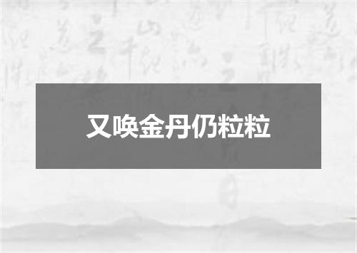 又唤金丹仍粒粒