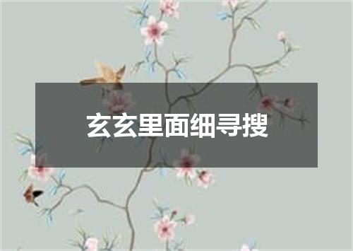 玄玄里面细寻搜