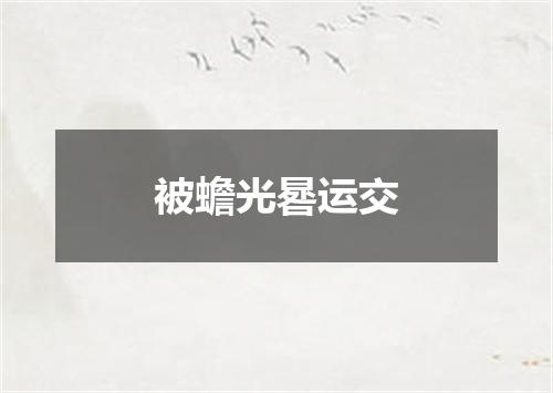 被蟾光晷运交