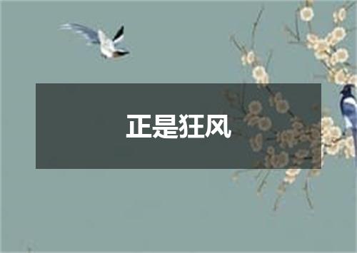 正是狂风